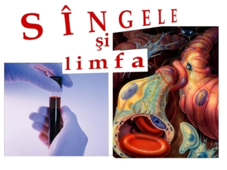 Singele si limfa