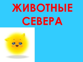 Животные Севера