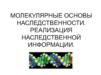 Молекулярные основы наследственности. Реализация наследственной информации