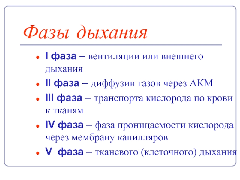 Фазы дыхания. Опишите фазы дыхания. Стадии выдоха. Основные фазы дыхательного цикла.