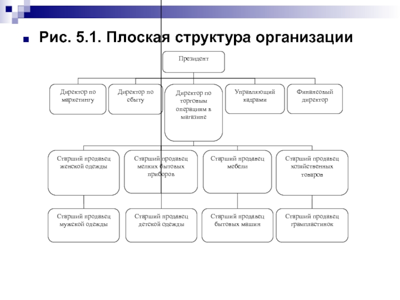 Организующая структура. Плоская структура организации. Внутренняя структура компании. Организационная структура автомагазина. Организационная структура предприятия рис.