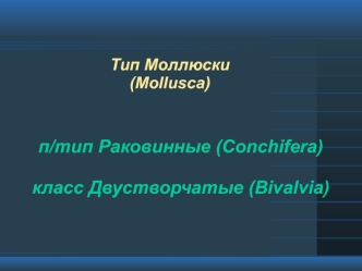 Тип Моллюски (Mollusca). Класс Двустворчатые (Bivalvia)