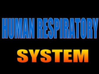 What is respiration