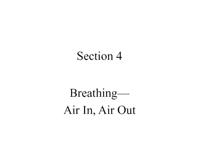 Air breathing перевод