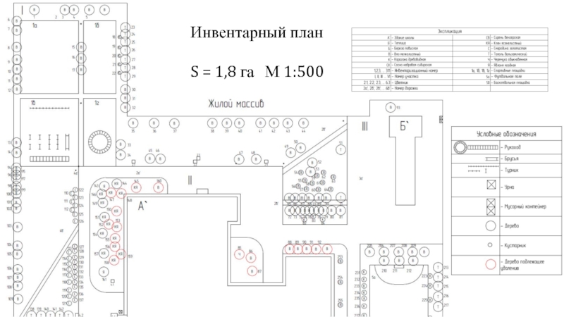 Инвентарный план земельного участка