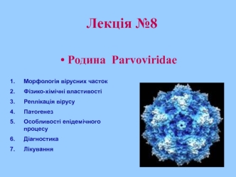 Родина Parvoviridae