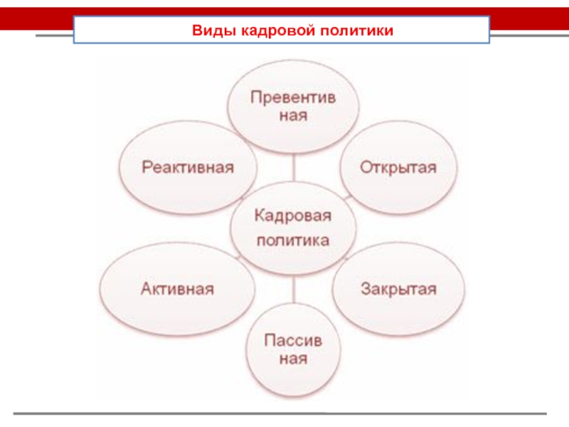 Вид кадровой. Крымов кадровая политика. Кадровая политика магазина одежды.