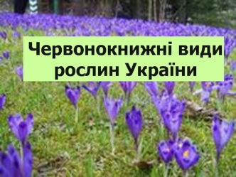 Червонокнижні види рослин України