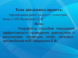 Организация работ на посту геометрии колес у ИП Ведюшкин Е.В