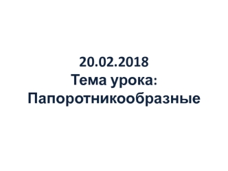 Папоротникообразные