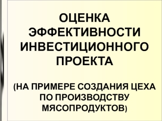 Оценка эффективности инвестиционного проекта на примере создания цеха по производству мясопродуктов