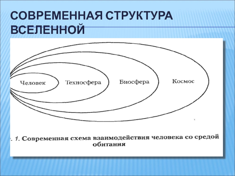 Структура современной. Структура Вселенной схема. Строение Вселенной схема. Изучить структуру Вселенной. Иерархия Вселенной.