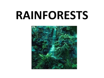 Rainforests