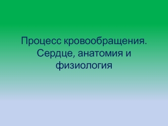 Процесс кровообращения. Сердце, анатомия и физиология