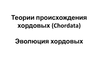 Теории происхождения хордовых (Chordata). Эволюция хордовых