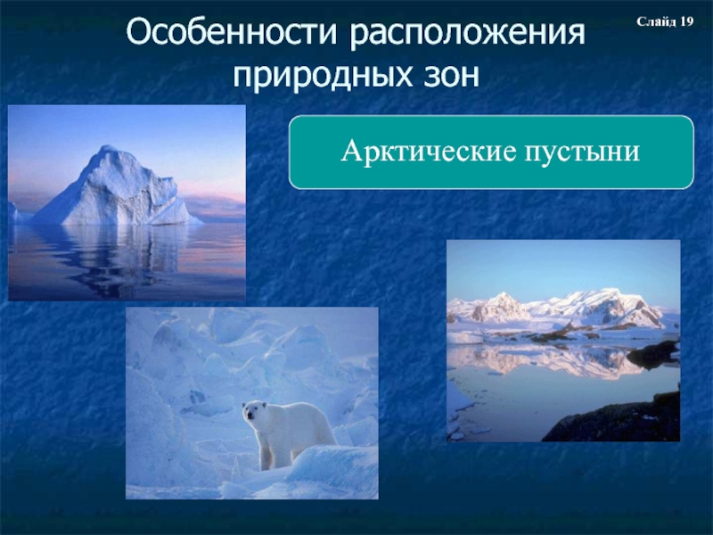 Особенности природы северных материков 7 класс. Особенности арктических пустынь. Особенности арктической пустыни. Особенности природы арктических пустынь. Арктические пустыни особенности природы.