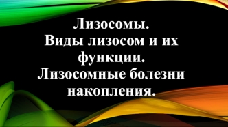 Лизосомы. Виды лизосом и их функции. Лизосомные болезни накопления