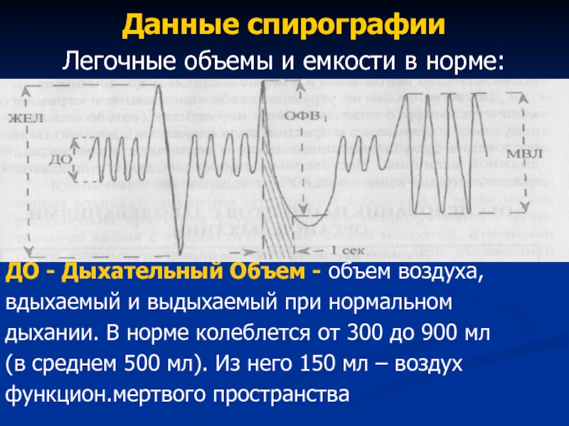 Результаты спирографии