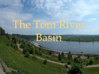 The Tom River Basin