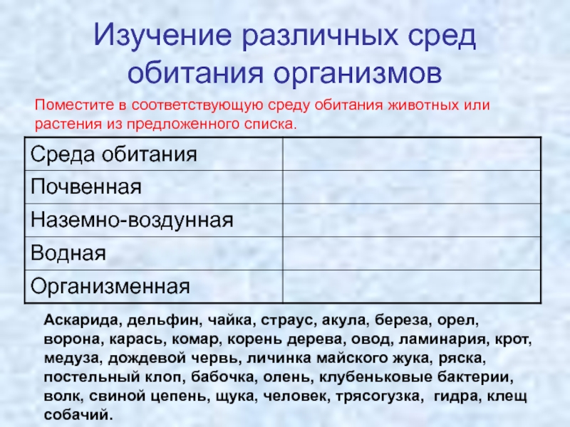 Хрен среда обитания наземно воздушная водная