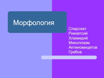 Морфология. Классификация грибов