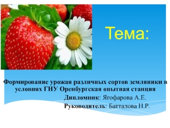 Формирование урожая различных сортов земляники в условиях ГНУ Оренбургская опытная станция