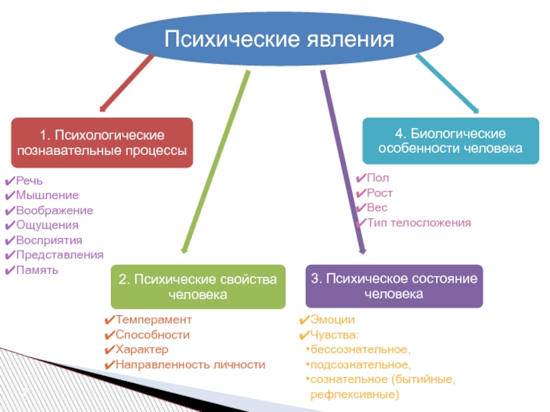 Психические явления. Биологические особенности человека. Психические явления Познавательные психические. Психические явления человека это.