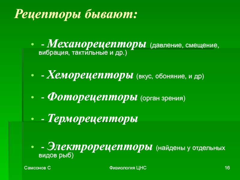 Виды механорецепторов схема