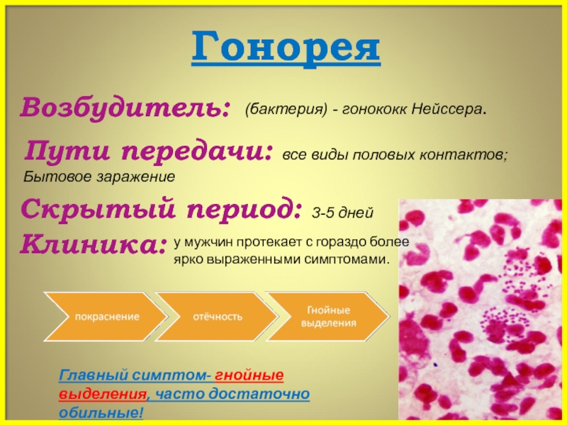 Гонорея беременных презентация