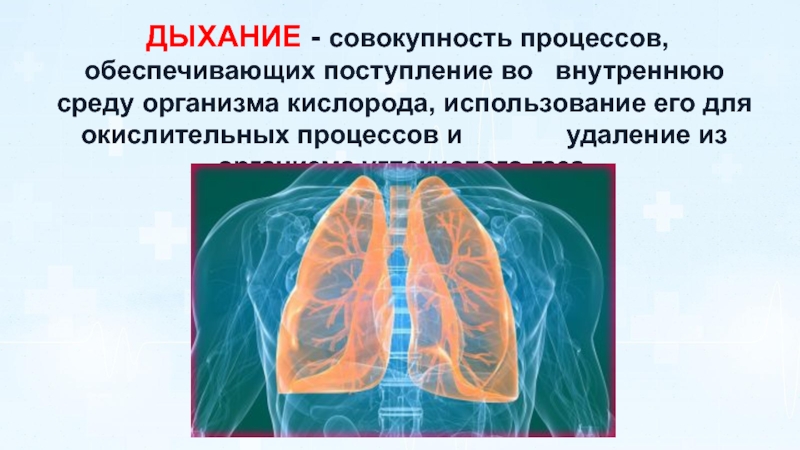 Биомеханика внешнего дыхания презентация