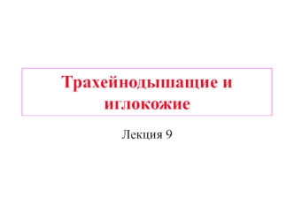 Трахейнодышащие и иглокожие. (Лекция 9)