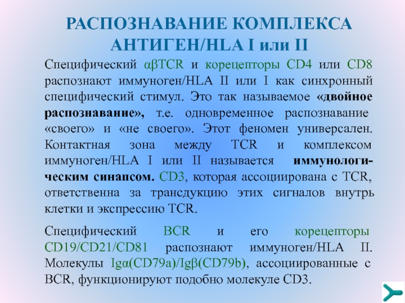 Распознавание 8. Распознают антиген в комплексе с HLA 1. Двойное распознавание антигена. Посредством каких молекул распознаётся комплекс антиген/HLA II?. HLA комплекс.