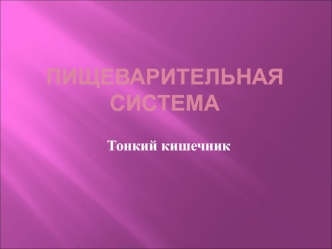 Тонкий кишечник