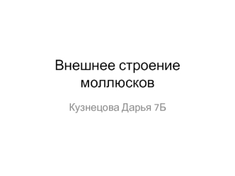 Внешнее строение моллюсков