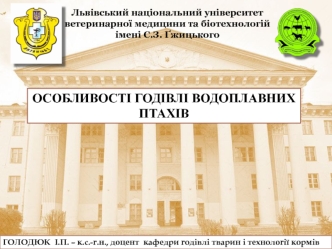 Особливості годівлі водоплавних птахів