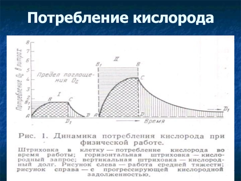 Расход кислорода. Счетчик потребления кислорода. Пенополиуретан потребление кислорода. Динамика потребления кислорода в России. Индекс потребления кислорода.