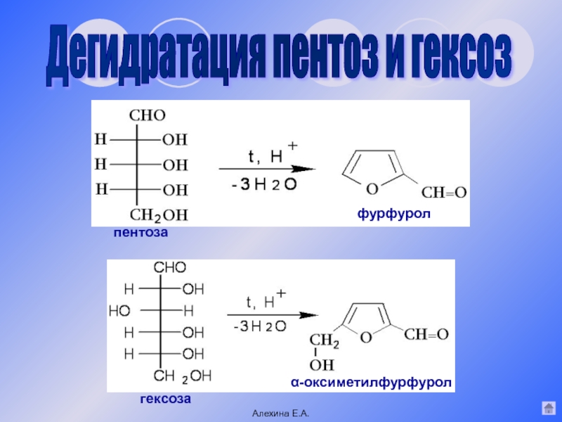 Гексоза это. Эмпирические формулы пентоз. Гексозы пентозы триозы. Фурфурол+h2. Углеводы пентозы и гексозы.