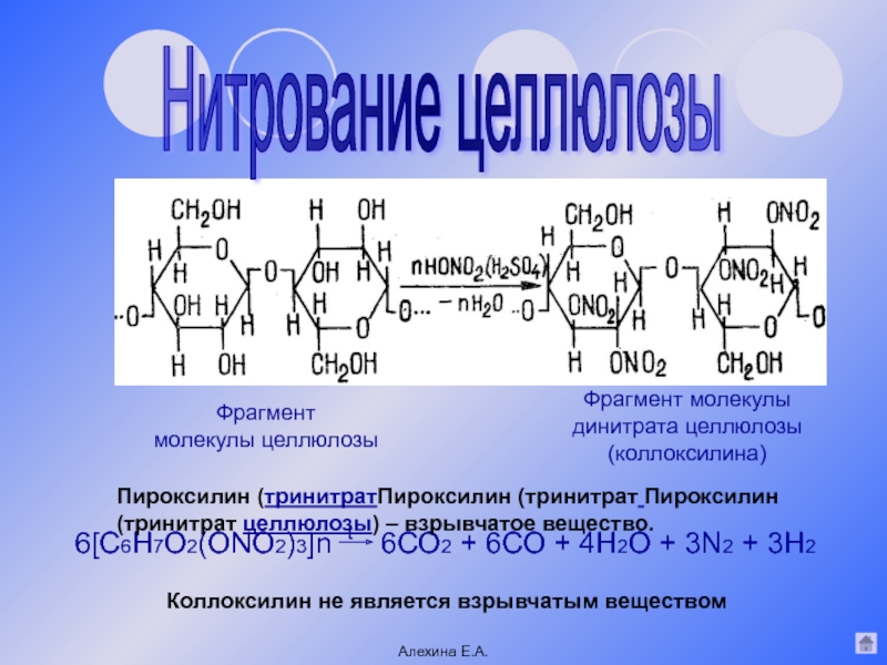 Коллоксилин. Динитрат целлюлозы формула структурная. Реакция нитрования целлюлозы. Пироксилин, тринитрат целлюлозы. Нитроцеллюлоза формула.