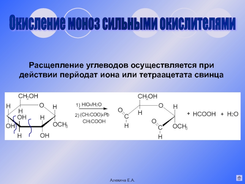 Расщепление простых углеводов. Тетраацетат. Окисление моноз. Расщепление сахарозы. Тетраацетат свинца.