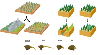 The main mechanisms of speciation