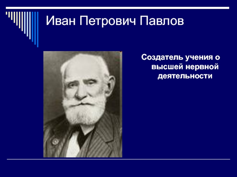 Создатель учения. Создатель учения о высшей нервной деятельности. Павлов Иван Петрович учение о высшей нервной деятельности. Автор учения о высшей нервной деятельности:. Павлов создатель учения о пищеварении.