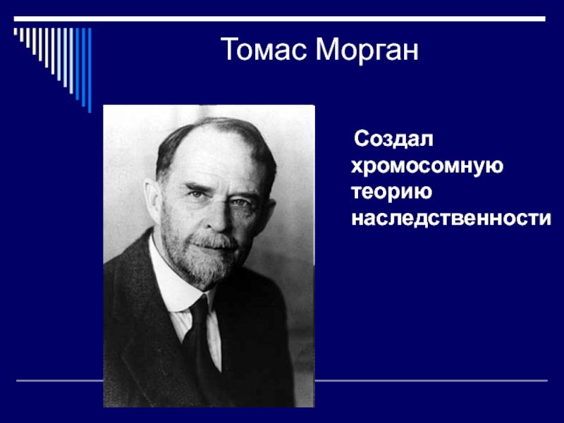 Хромосомная теория томаса. Хромосомная теория Томаса Моргана.