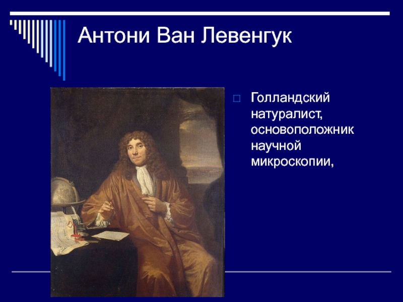 Нидерландский натуралист 8. Антони Ван Левенгук натуралист. Голландский натуралист Антони Ван Левенгук. Антони Ван Левенгук.