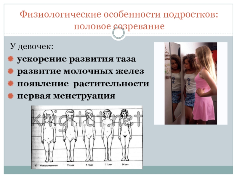 Половое созревание картинки