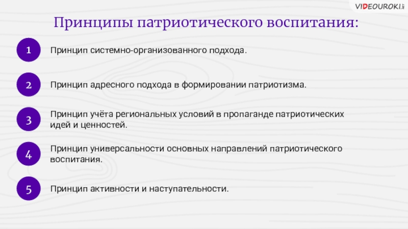 Принципы патриотического воспитания. Принцип патриотизма в науке.