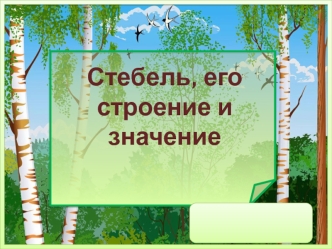 Стебель, его строение и значение