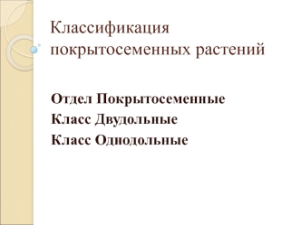 Классификация покрытосеменных растений. Отдел Покрытосеменные. Класс Двудольные. Класс Однодольные