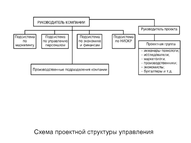 Проектная структура схема