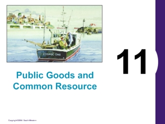 Public Goods and Common Resource