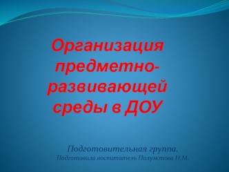 Организация предметно-развивающей среды в ДОУ